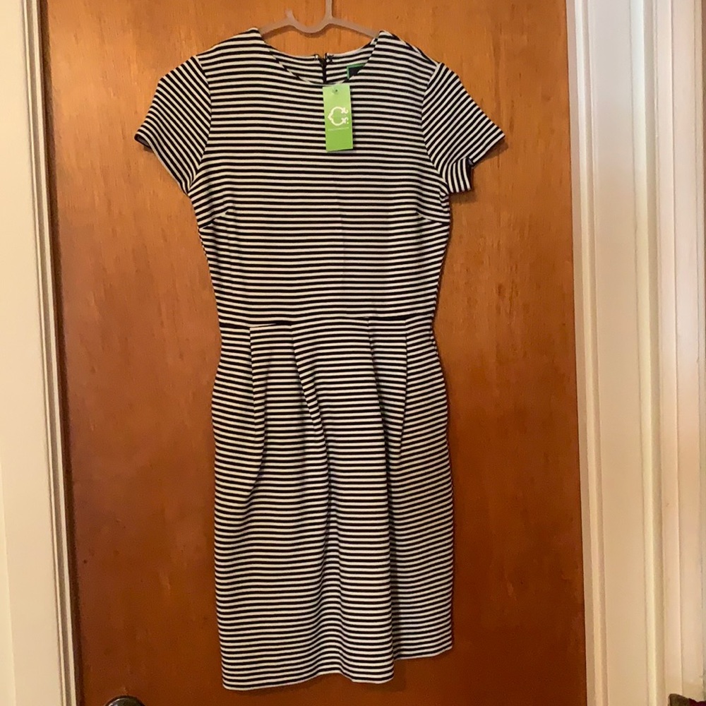 C. Wonder Black and white stripe dress